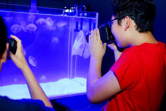 佳能EOS影像藝術公園上海揭幕:巨型模型復刻R5 Mark II